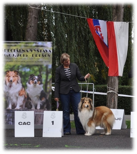 Obrázok12.jpg