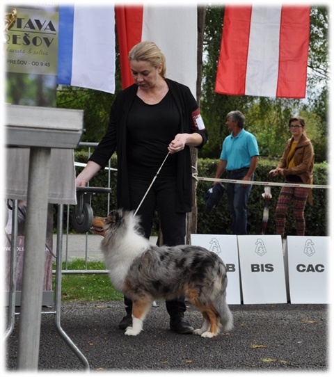 Obrázok1.jpg