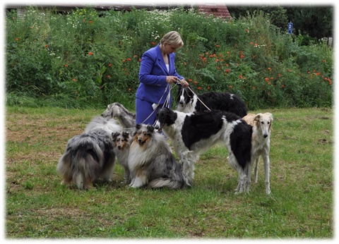Obrázok13.jpg