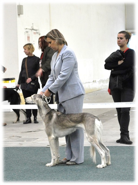 Obrázok21.jpg