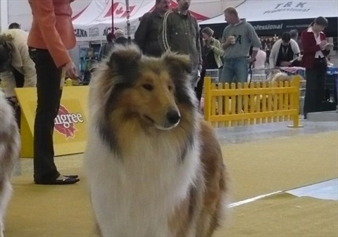 Obrázok 674.jpg