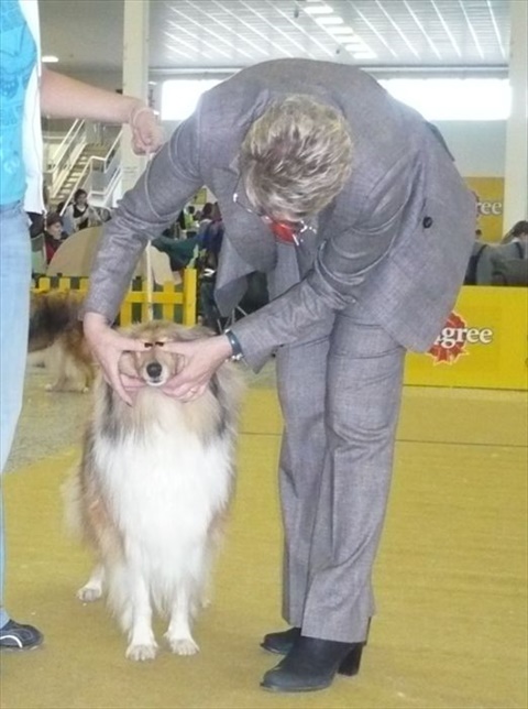 Obrázok 710.jpg