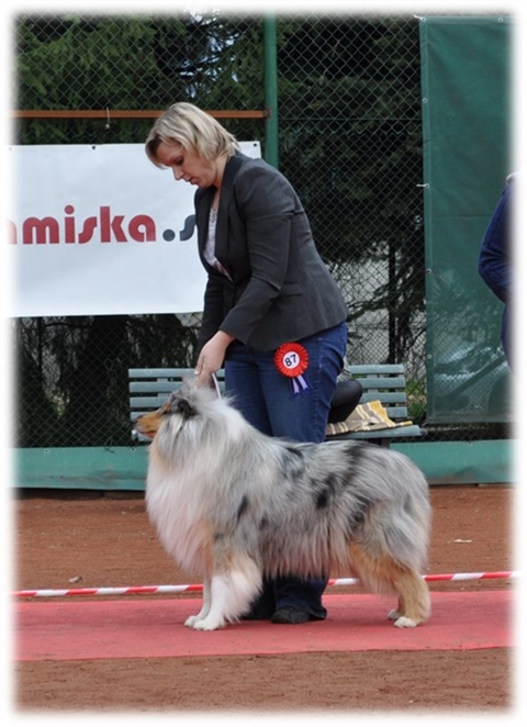 Obrázok37.jpg