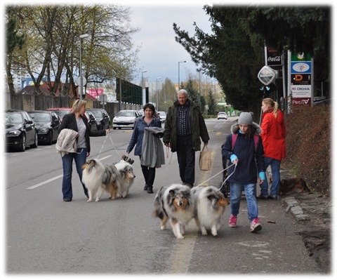 Obrázok47.jpg