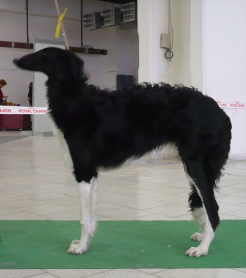 4 154.jpg