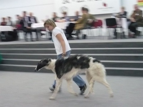 4 054.jpg