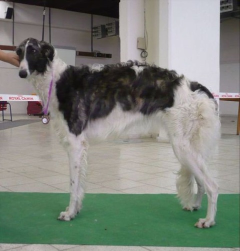 4 150.jpg