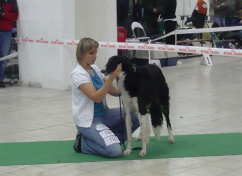 4 110.jpg