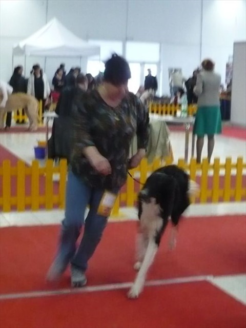 barzoji 066.jpg