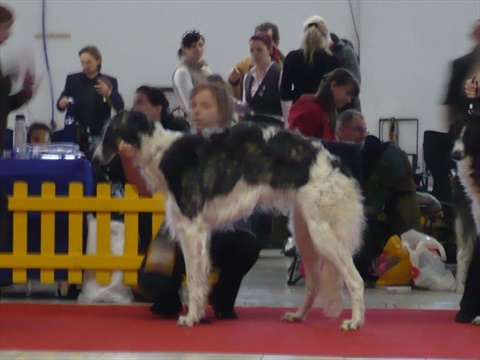 barzoji 057.jpg