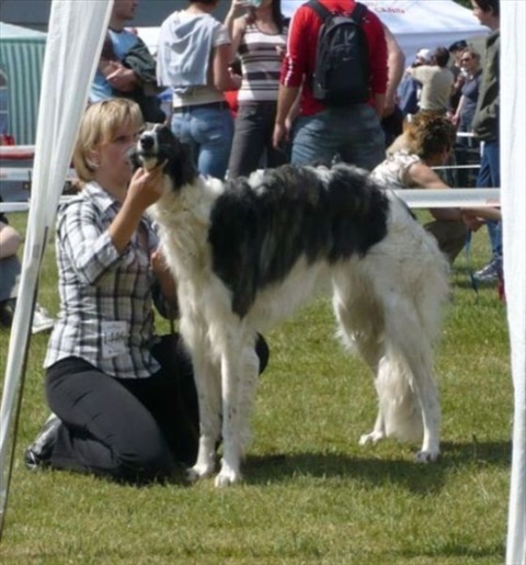 obcan 075.jpg