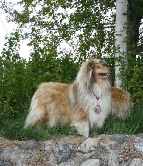obcan 189.jpg