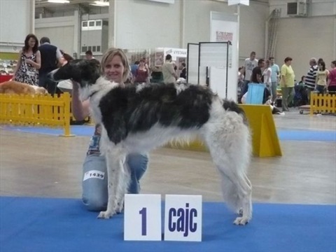 obcan 063.jpg