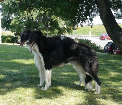 obcan 077.jpg