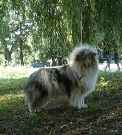 Národná výstava Košice 12. 7. 2009 153.jpg