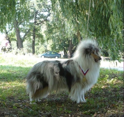 Národná výstava Košice 12. 7. 2009 154.jpg