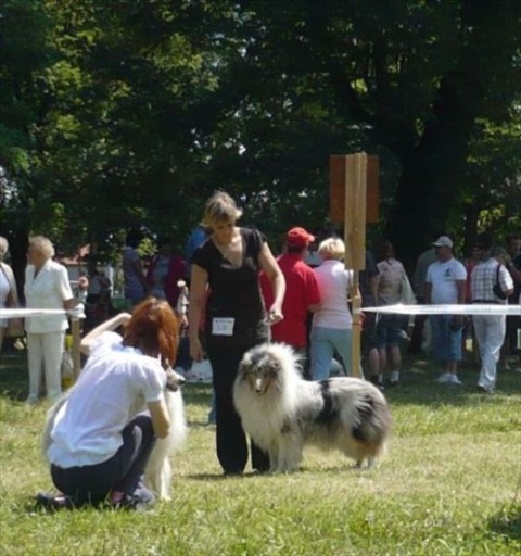 Národná výstava Košice 12. 7. 2009 064.jpg