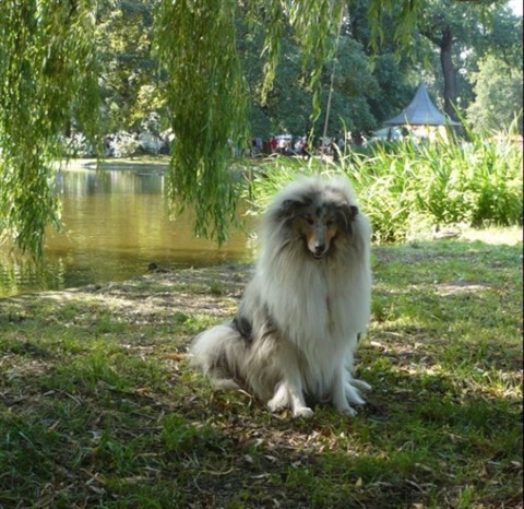 Národná výstava Košice 12. 7. 2009 146.jpg