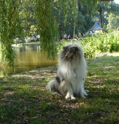 Národná výstava Košice 12. 7. 2009 147.jpg