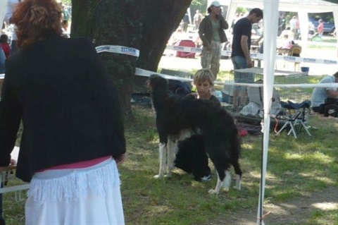 Národná výstava Košice 12. 7. 2009 037.jpg