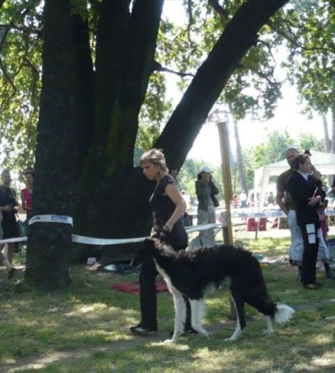 Národná výstava Košice 12. 7. 2009 033.jpg