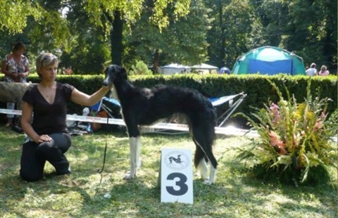 euro sighthound show 8. 8. 2009 149.jpg