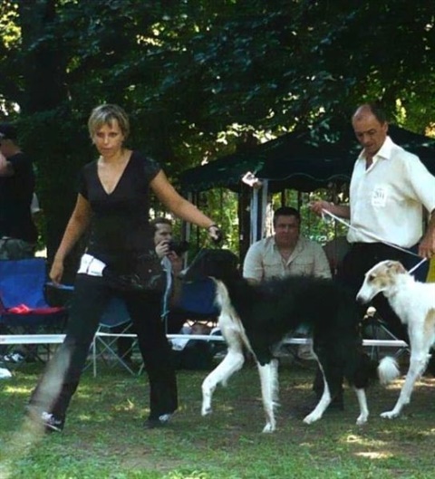 euro sighthound show 8. 8. 2009 019.jpg
