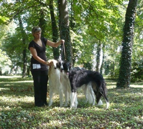 euro sighthound show 8. 8. 2009 189.jpg