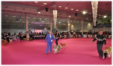 rebecca best in show puppy competition.jpg