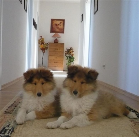 12 tyzdnov 041.jpg