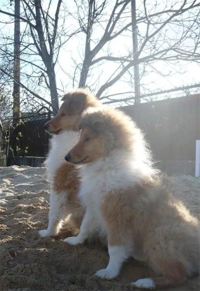 12 tyzdnov 069.jpg