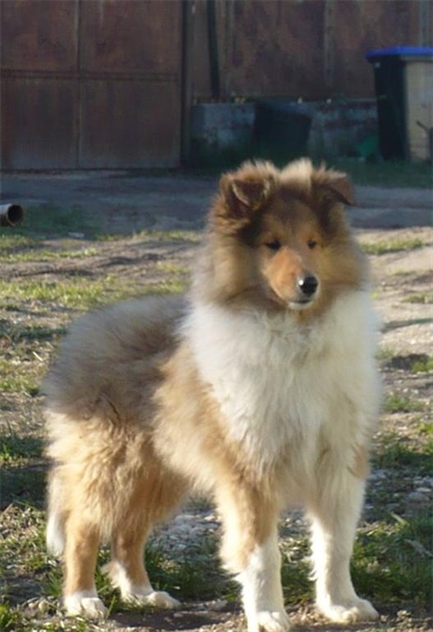12 tyzdnov 070.jpg